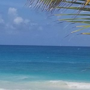 Meet your Posher, June